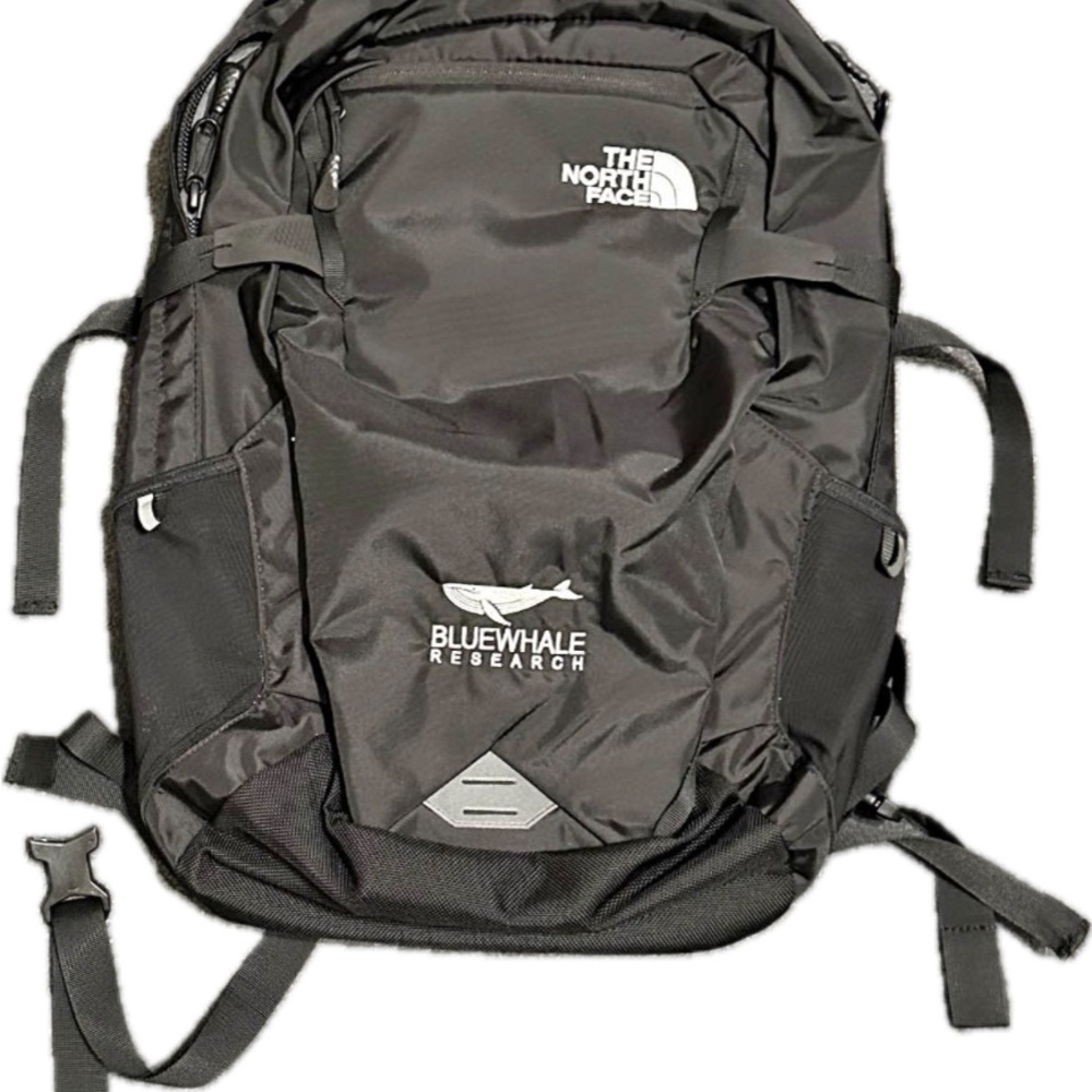 The North Face fall line black Backpack
